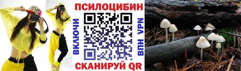 Галлюциногенные грибы прущие грибы  Щучье 